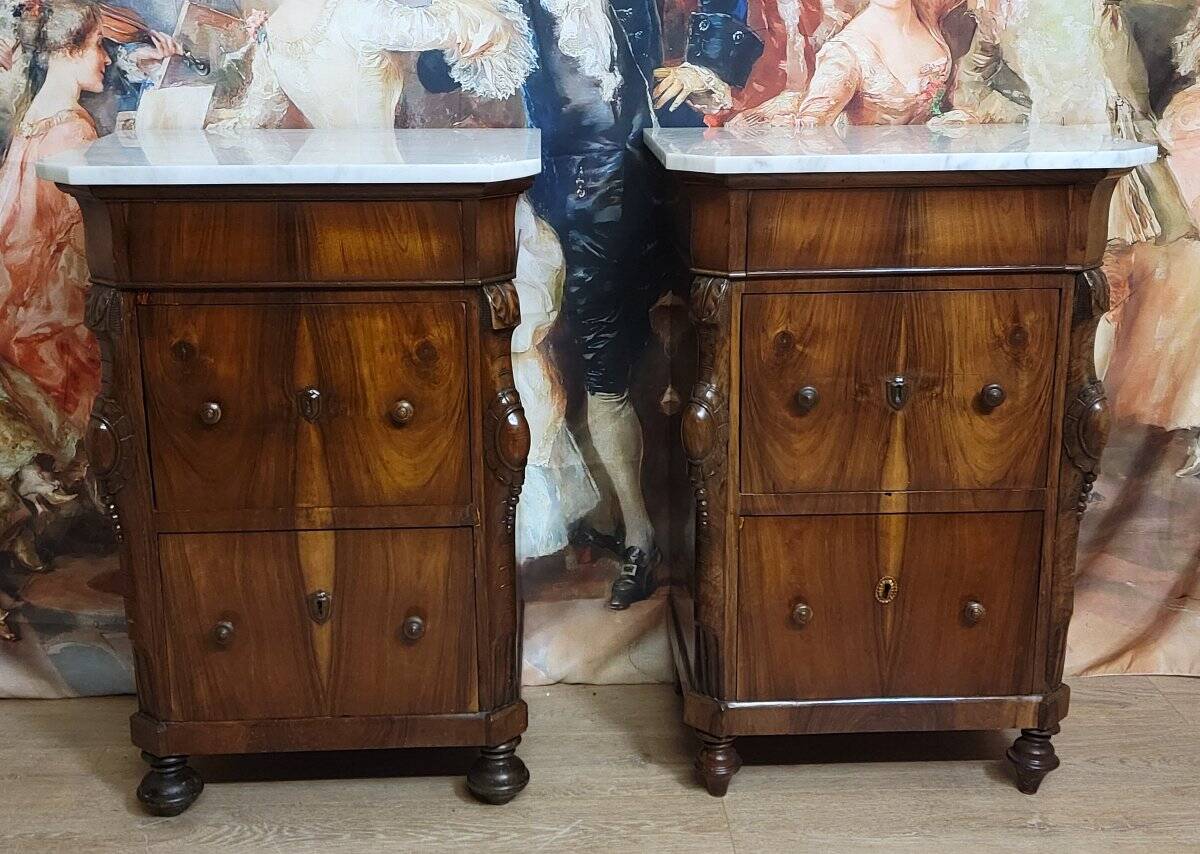 Rare pair of Italian display furniture from the Charles X period in mahogany.