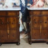 Rare pair of Italian display furniture from the Charles X period in mahogany.