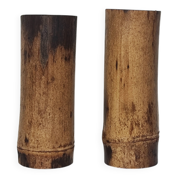 Duo bamboo vases