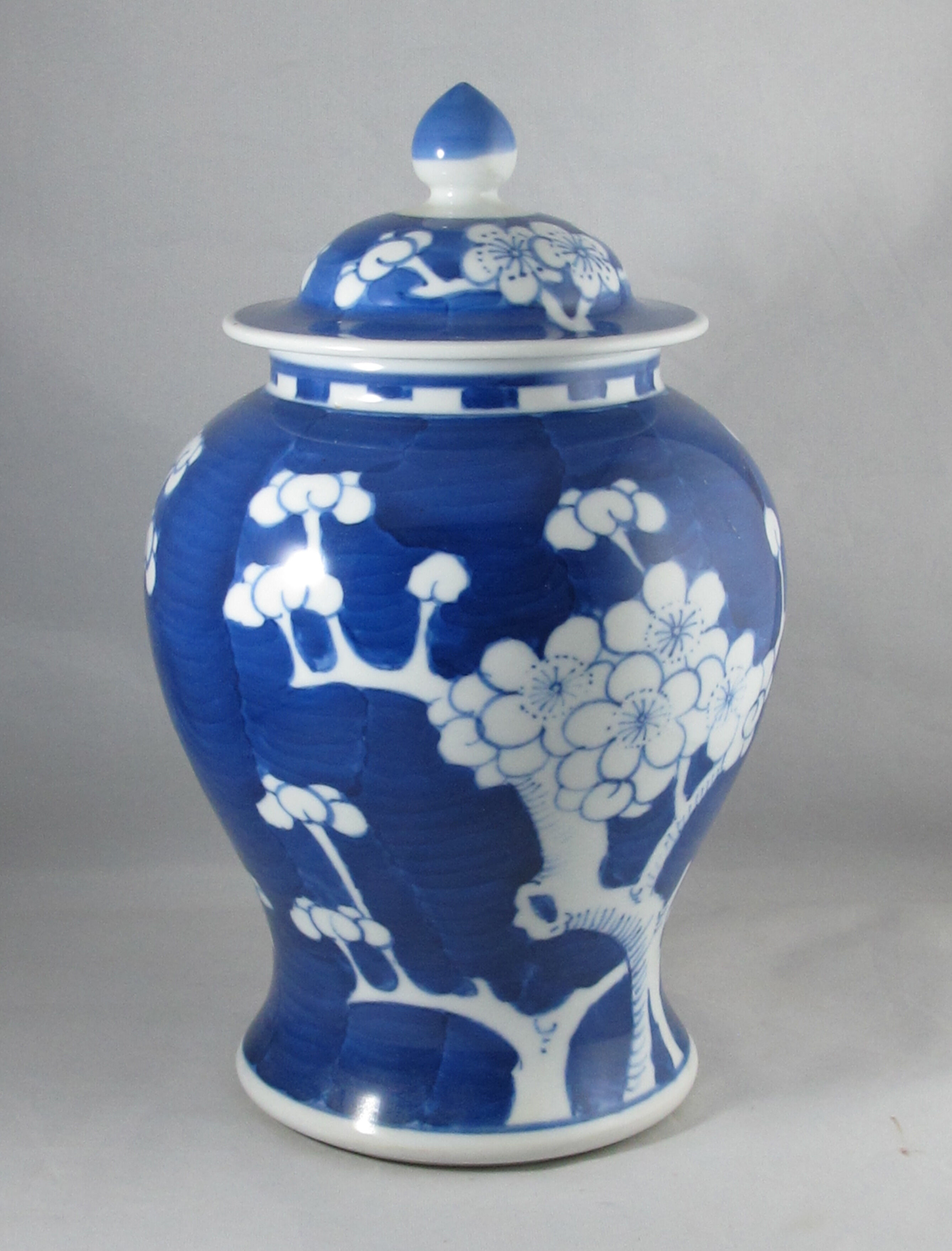 Chinese potiche blue white China
