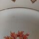 14 flat plates Céranord Eve