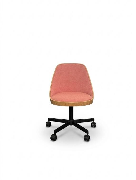 Kaiak meeting chair