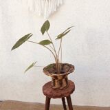 Exotic wood stool tripod