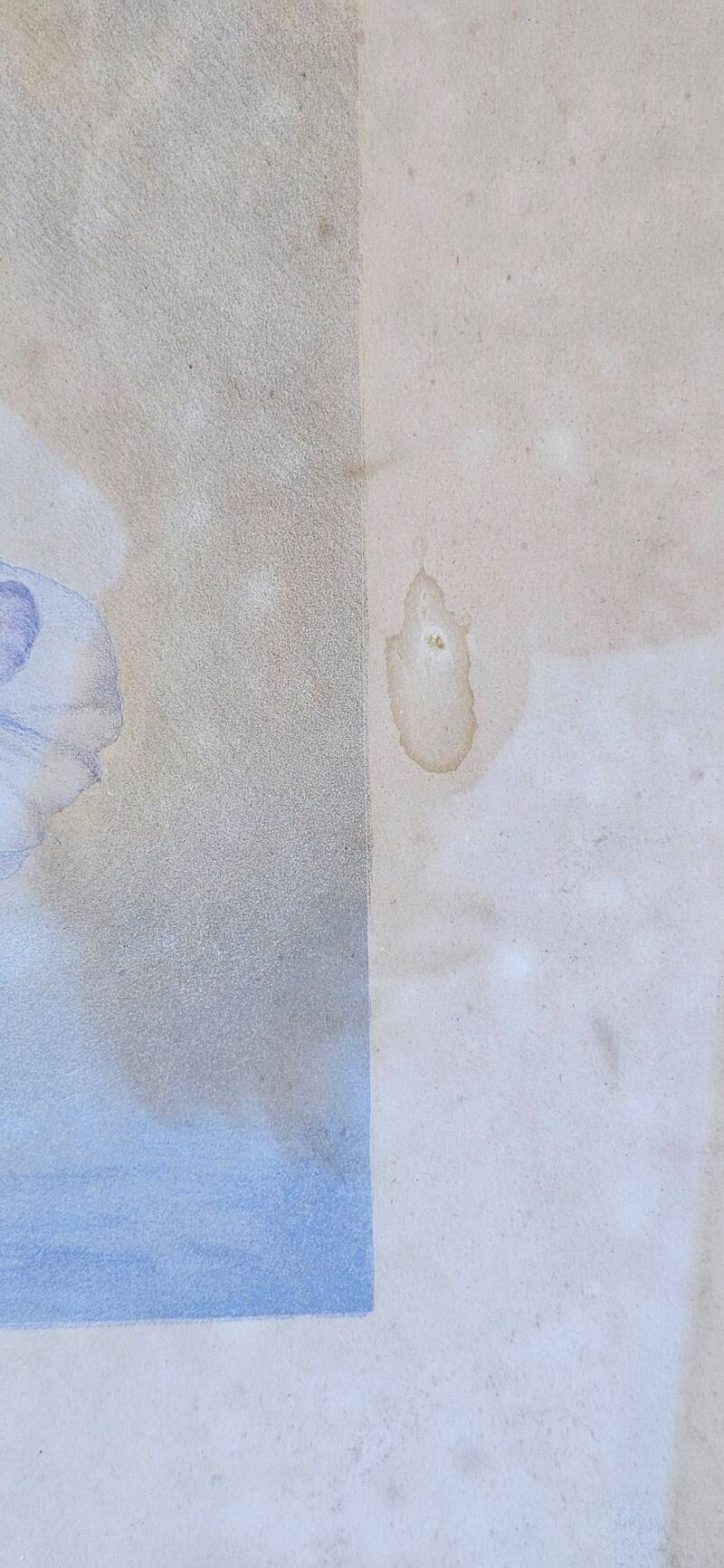 Julia Marin - Impression Thoughts on Large Flowers Around 1900