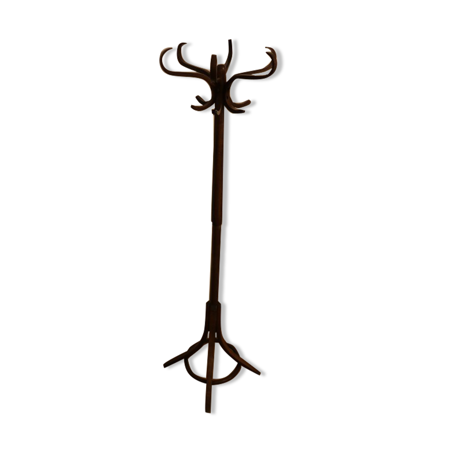 Coat rack parrot Baumann single dark beech b
