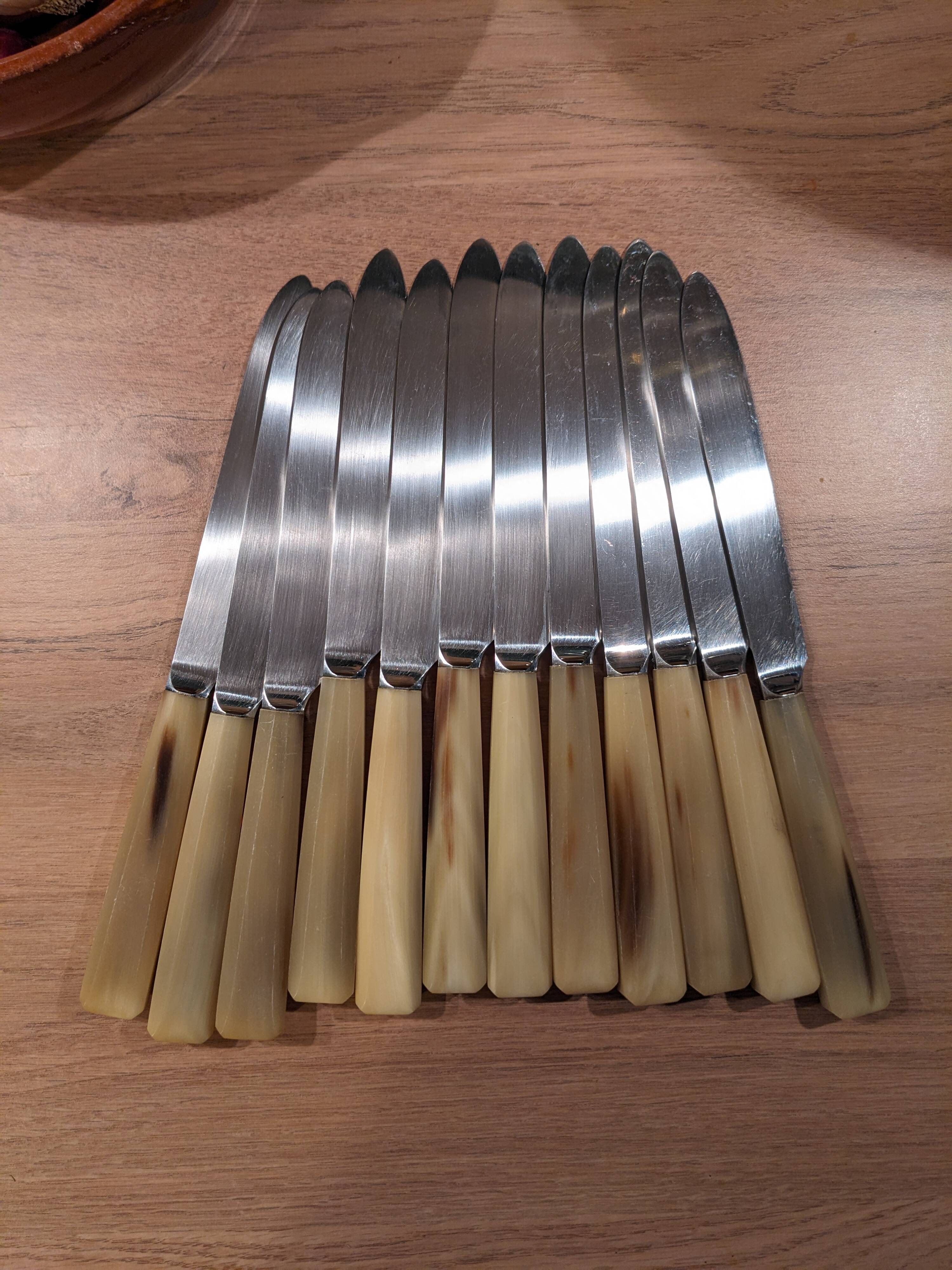 Set of 25 horn and stainless steel knives