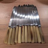 Set of 25 horn and stainless steel knives