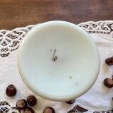 Paire de vases 19e en verre opaline signés