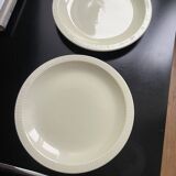 Duo of yellow plates