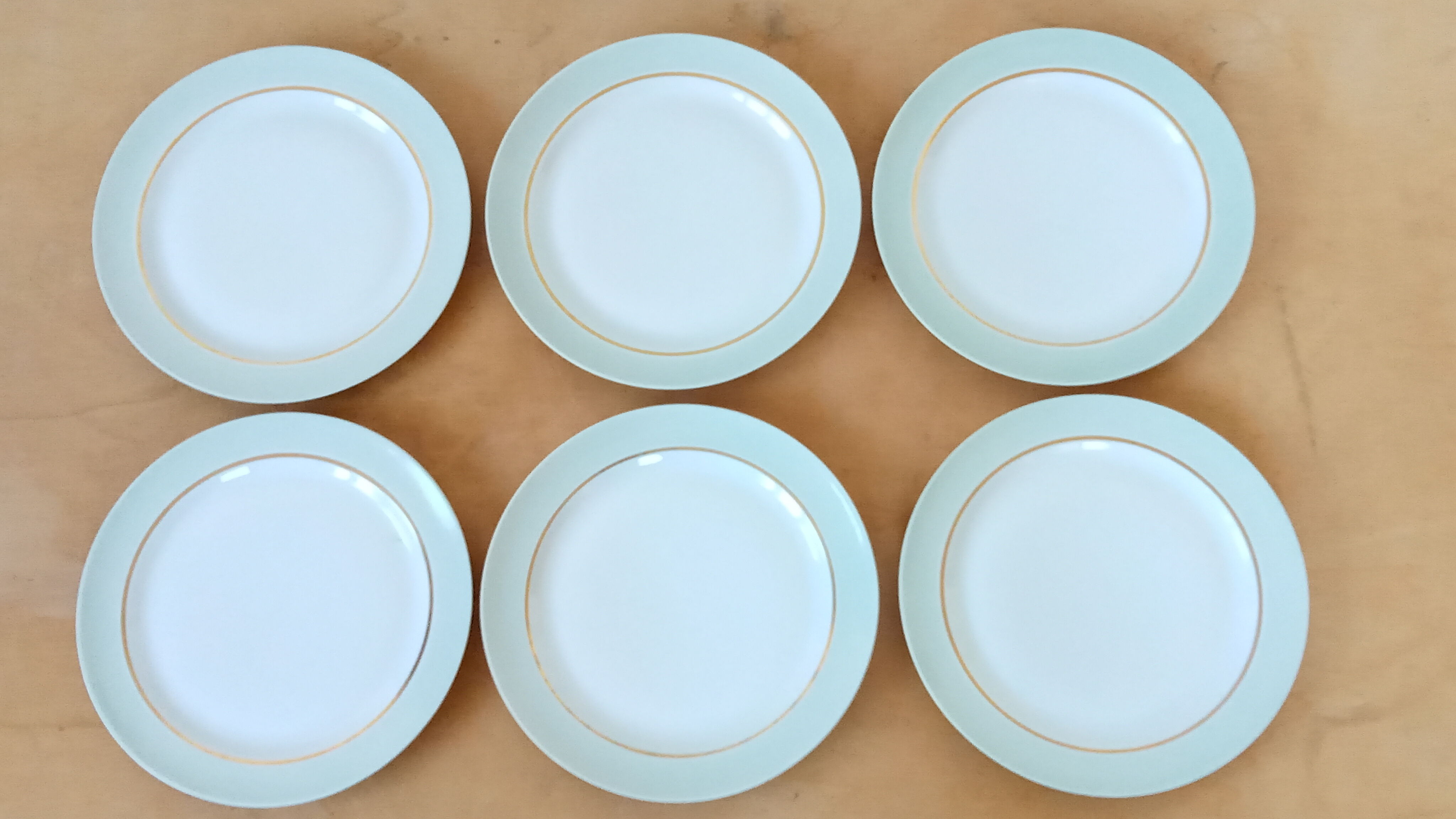 Six Limoges porcelain plates