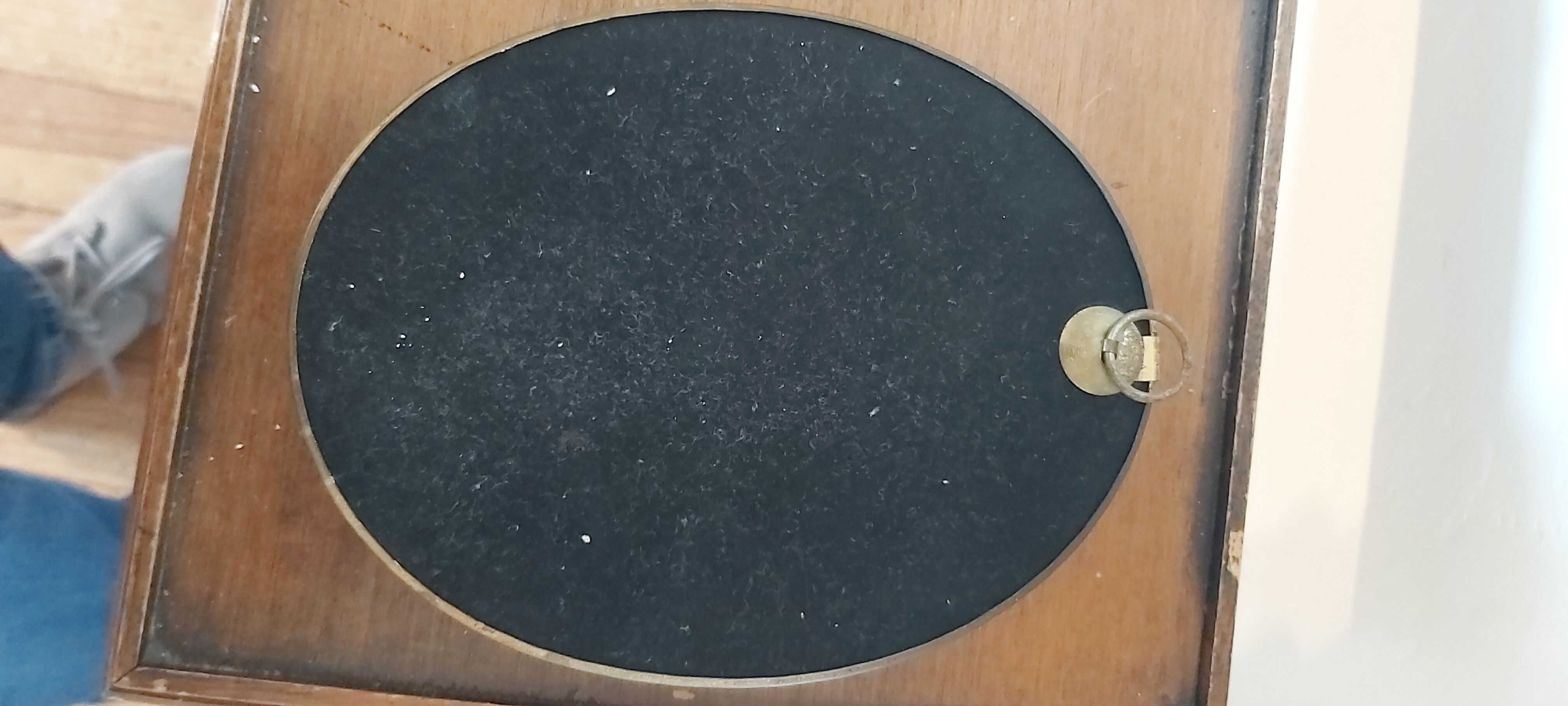 3 frames of dried flowers in curved glass