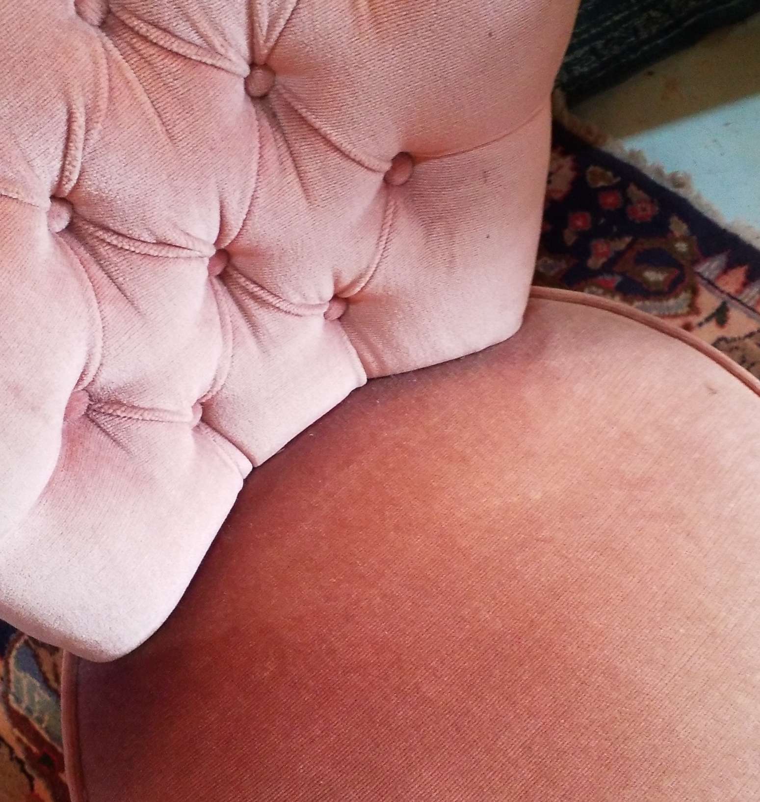 Pair of toad armchairs