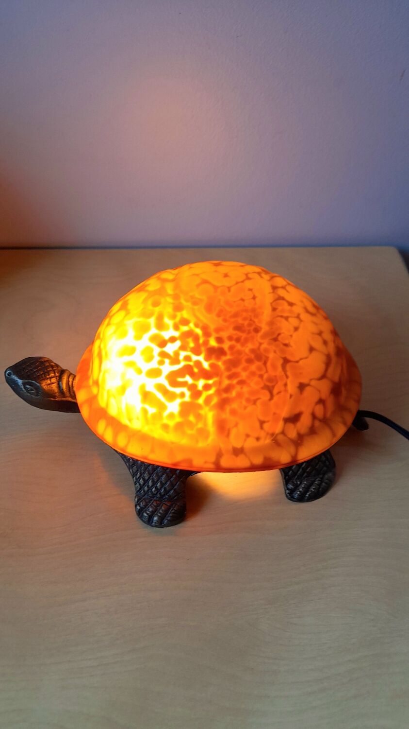 Turtle lamp