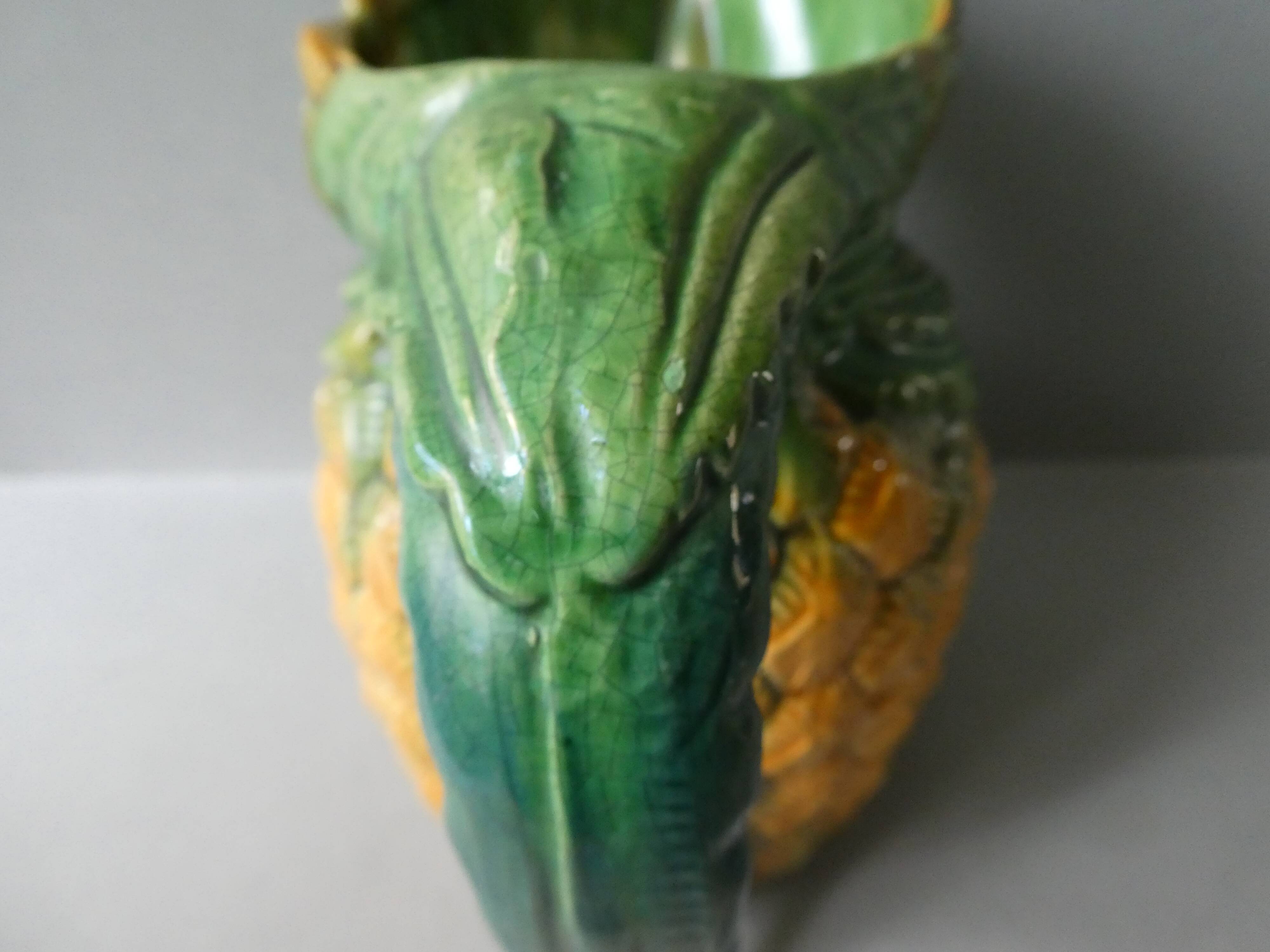 Pineapple pitcher in dabbling