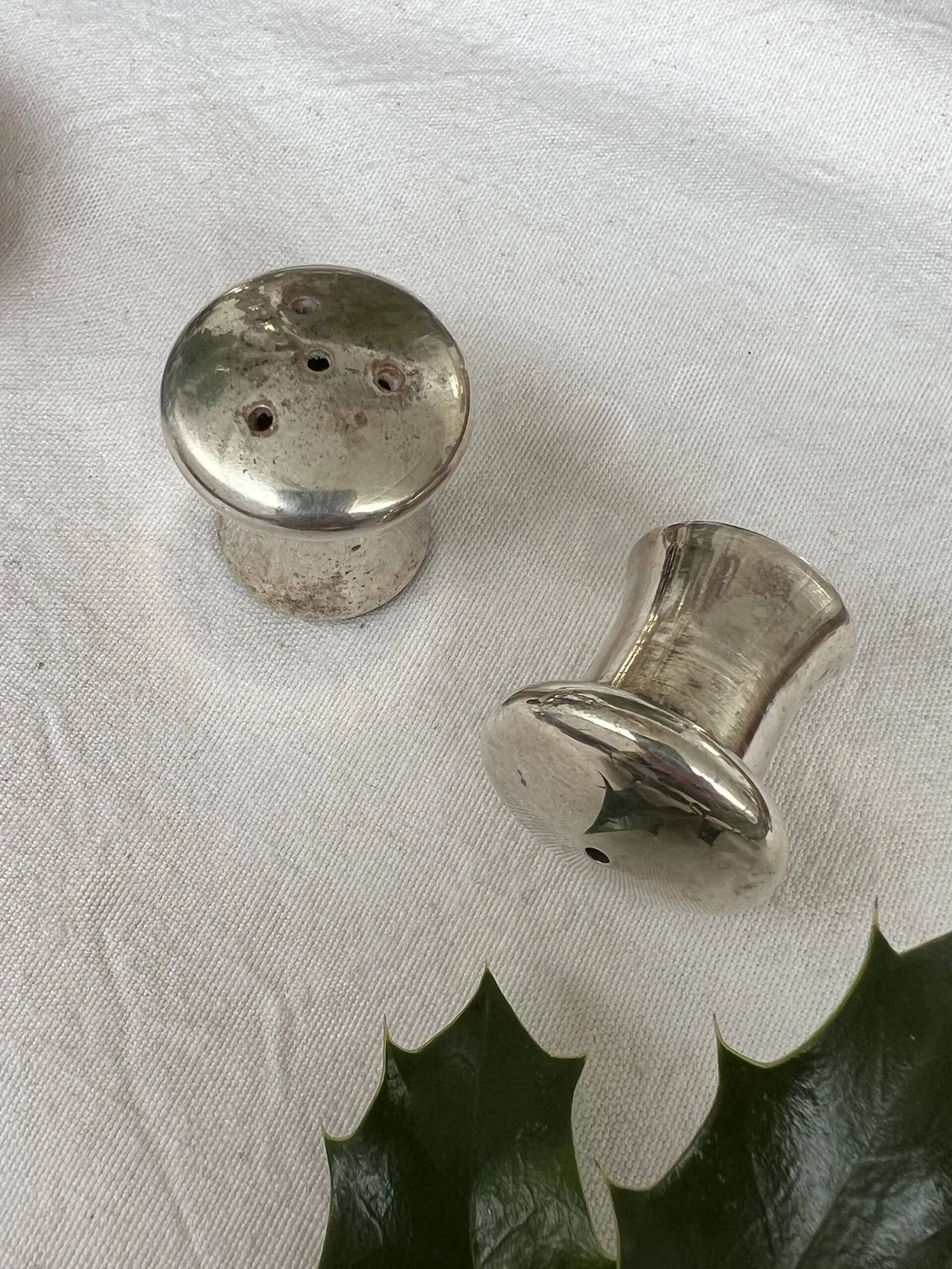 Duo salière et poivrier en forme de champignon en métal argenté