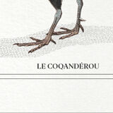 Chimera lithograph animal engraving - the coquandérou