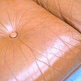 “Coronado” sofa by Afra & Tobia Scarpa for B&B Italia, Italy 1970