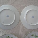 6 flat plates and 1 round dish haviland limoges with green and gold horn