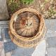 Demijohn covered with wicker