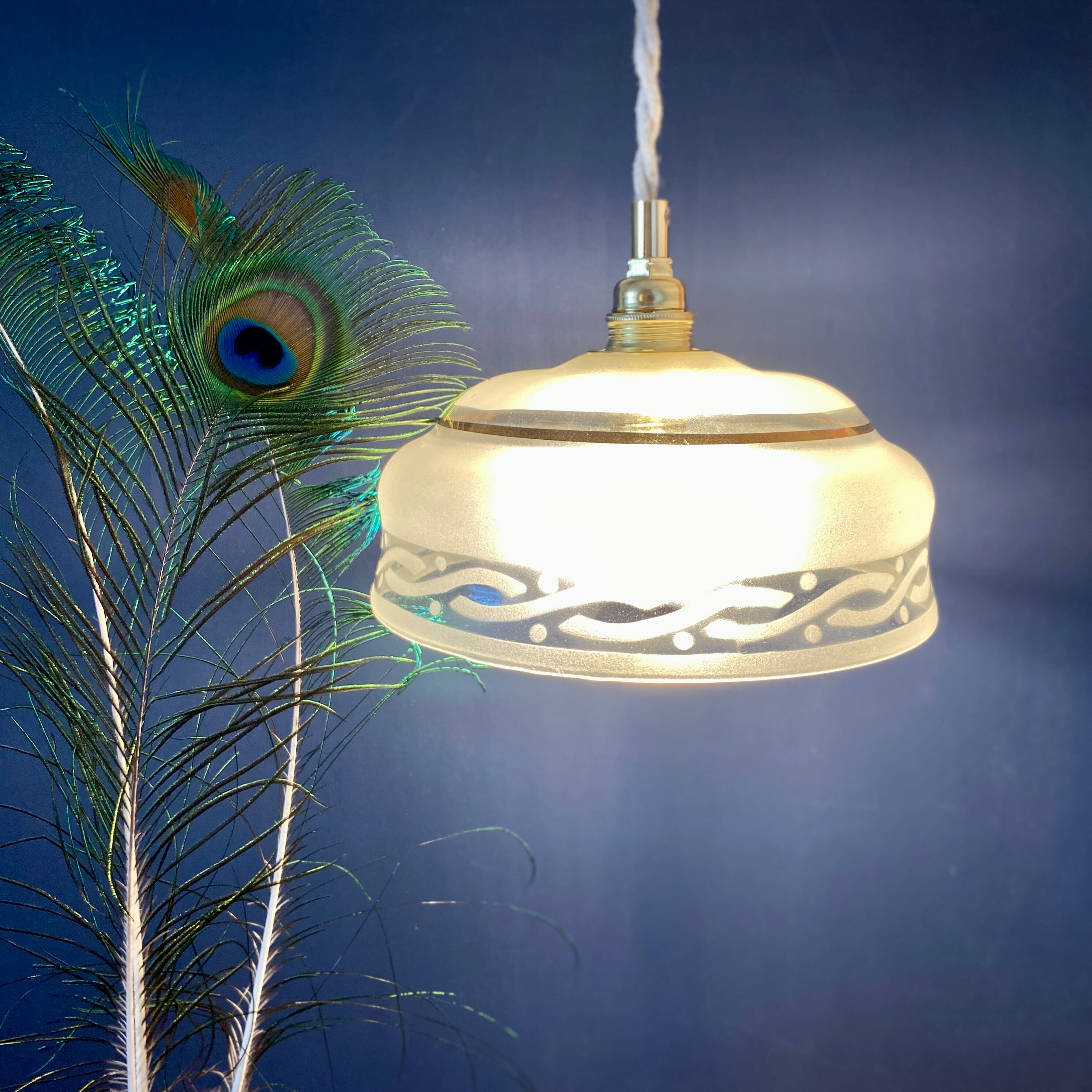 Vintage frosted glass lampshade pendant lamp