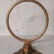 Brass swan head towel rack