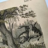 Old engraving from 1886 - Cow, sheep and goat - Lithograph of a farm