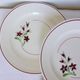 Set of 4 vintage dinner plates from the Salins factory 210636
