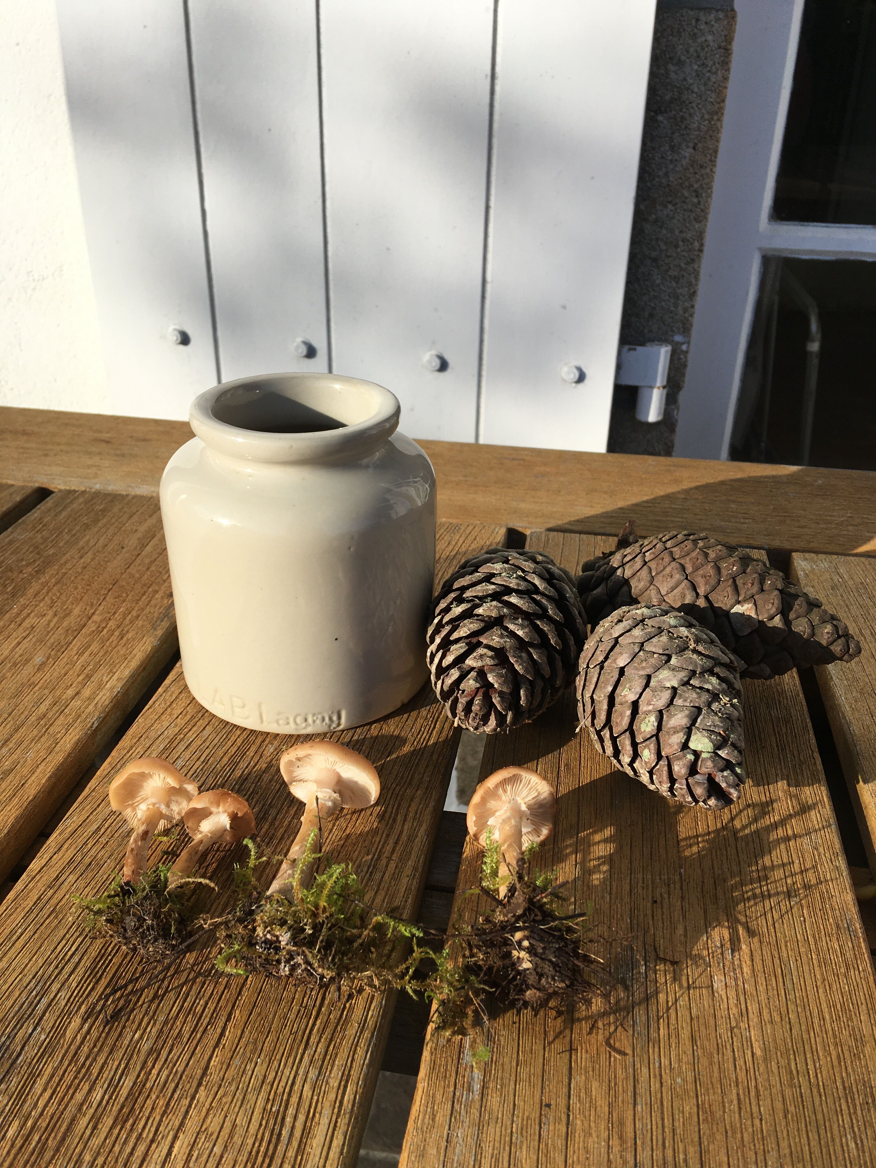 Beige sandstone mustard pot