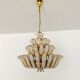 Crystal Glass Chandelier by Palwa