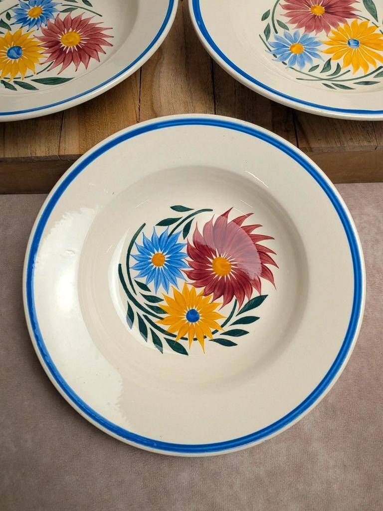 Set of 6 ironstone plates HBC – Rustic Model – Hand-painted floral design