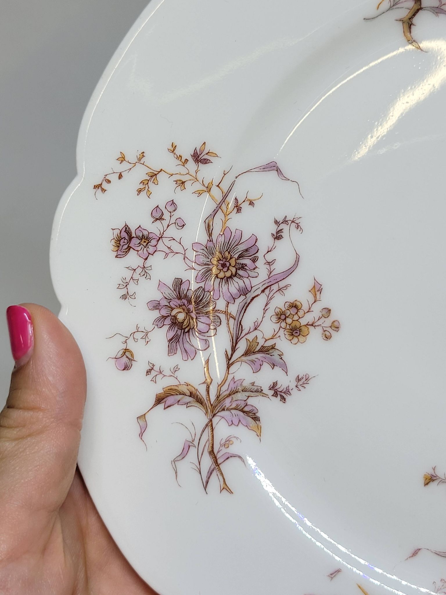 8 Superbes Assiettes Anciennes XIXème Décor Aux Oiseaux Sur Des Branches