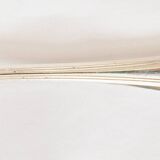 Ercuis silver sugar or ice tongs