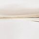 Ercuis silver sugar or ice tongs