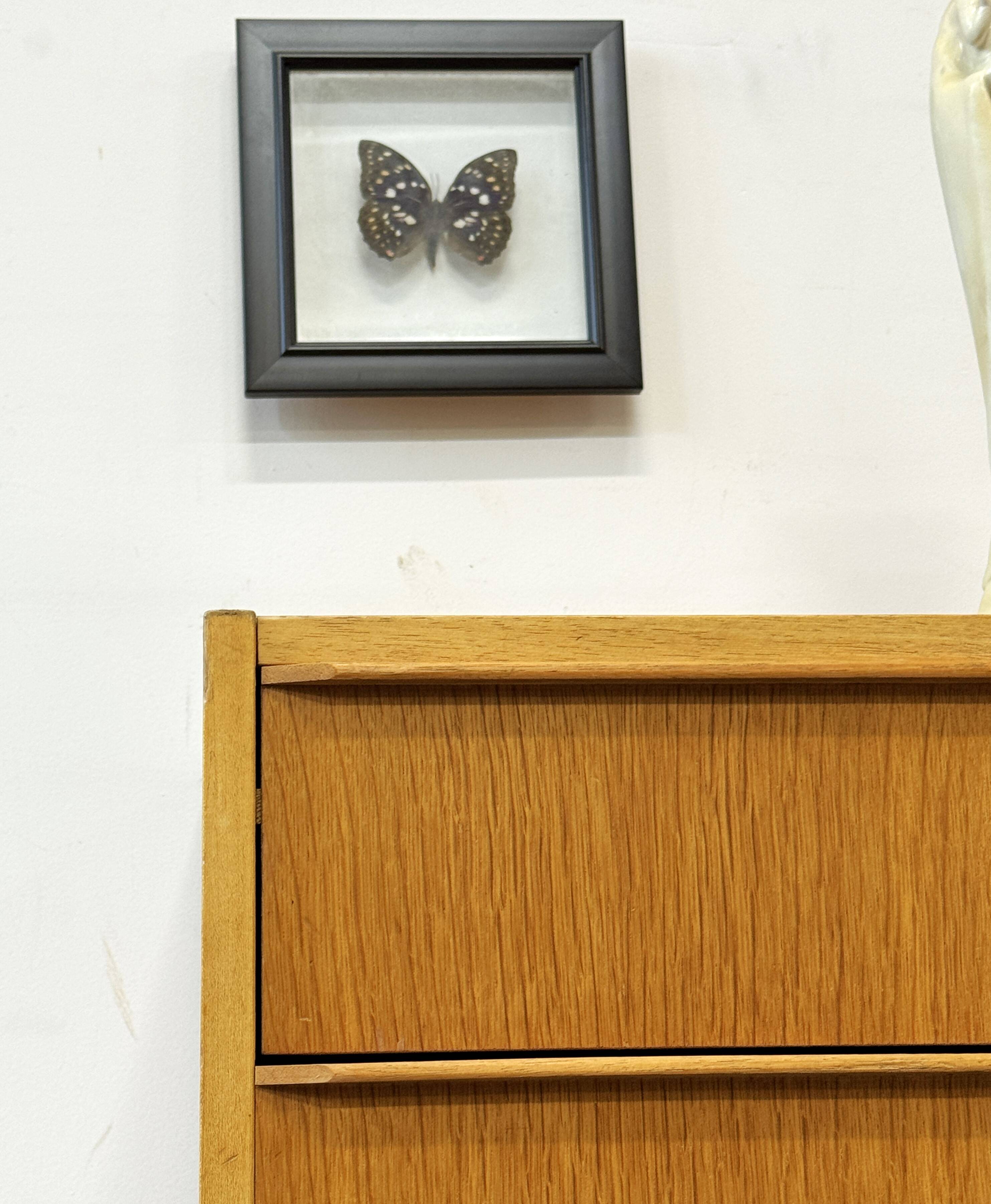 Oak Drawer Cabinet, Denmark, 1970s, Mid-Century, Vintage