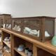 Vitrine de magasin ancienne en chêne (rénovée)