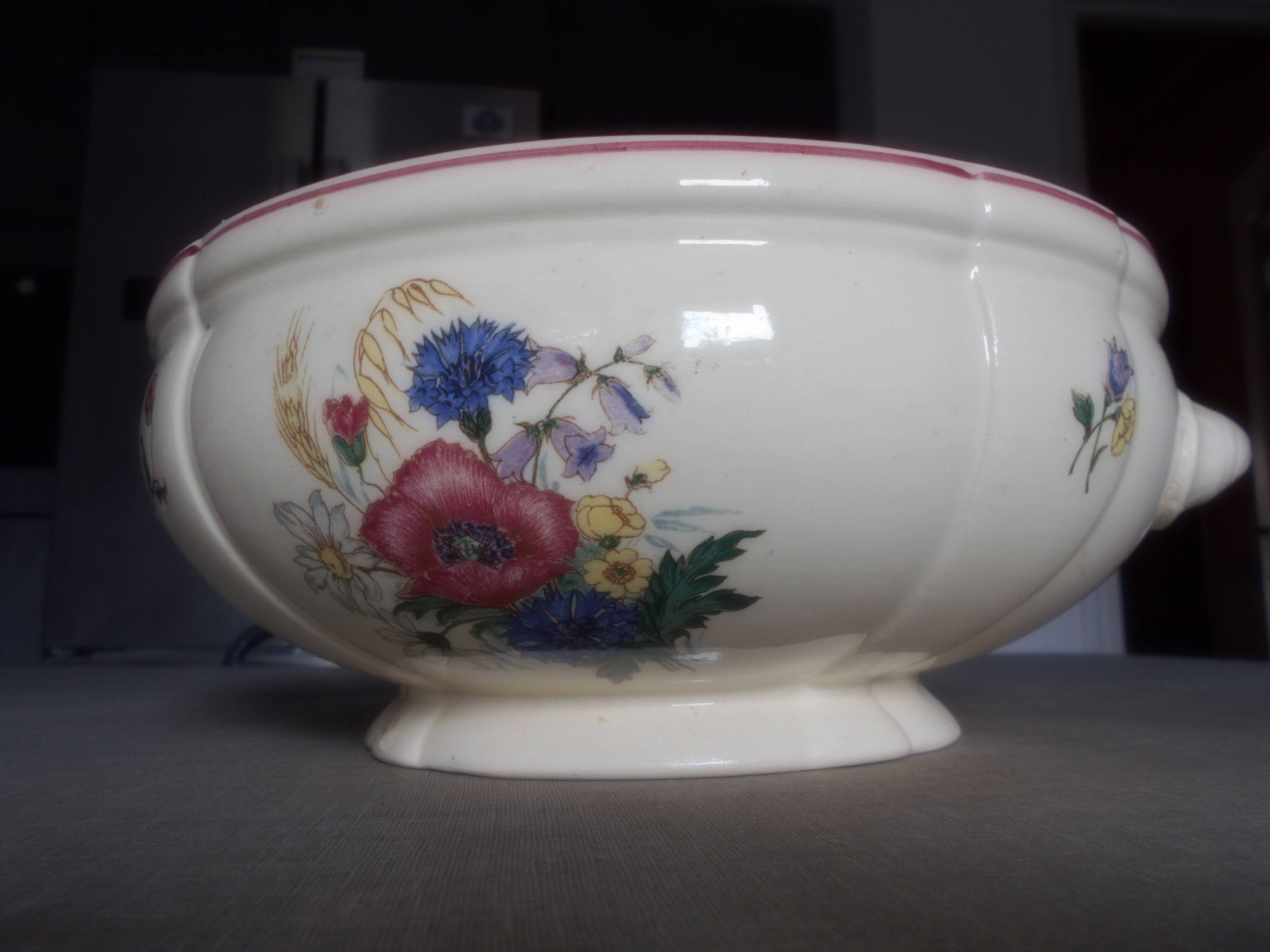 Flowered salad bowl digoin sarguemines