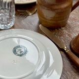 6 old plates in iron earth.