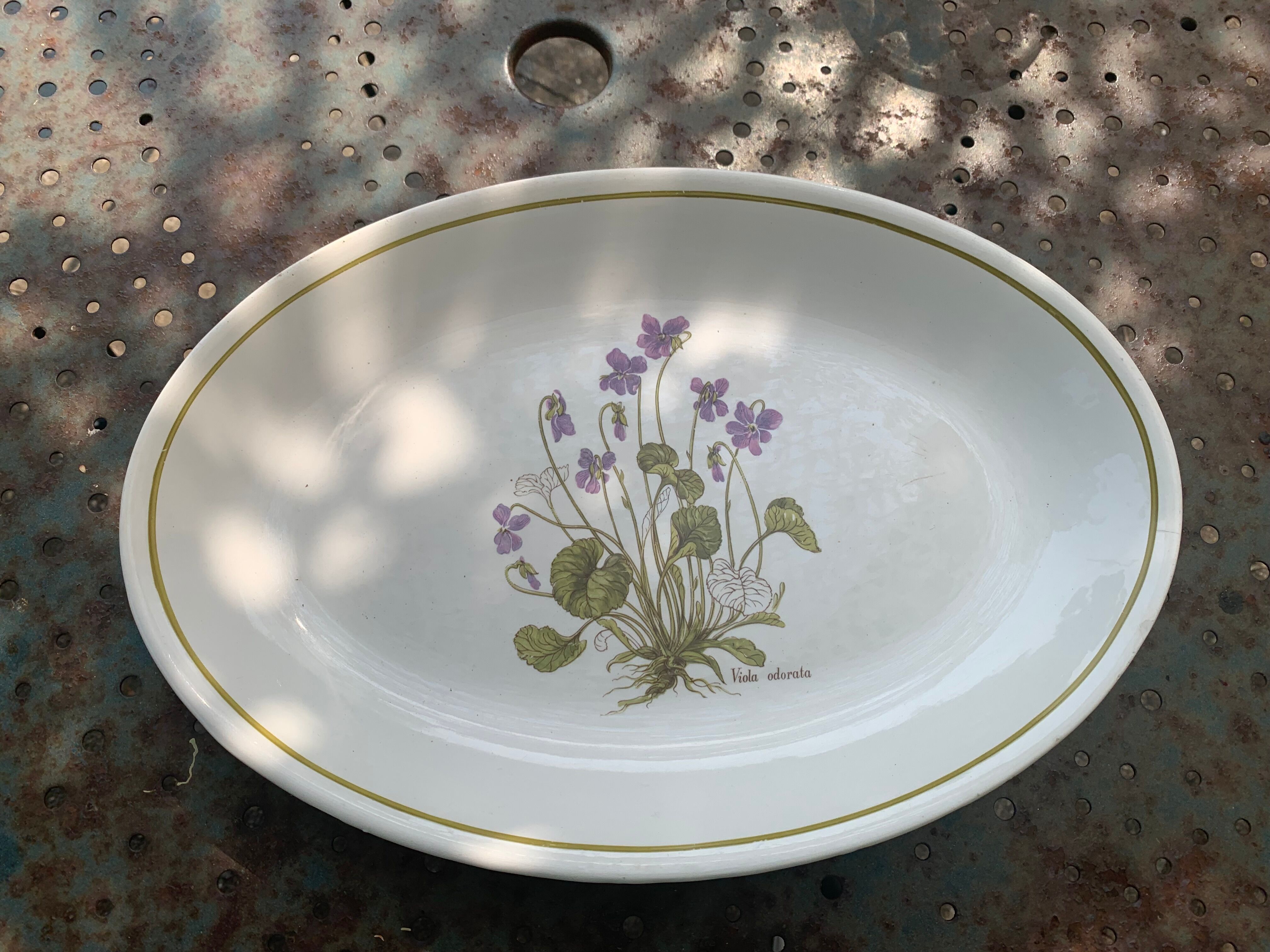 Serving dish in earthenware herbarium model, viola odorata mill of wolves orchies france vintage