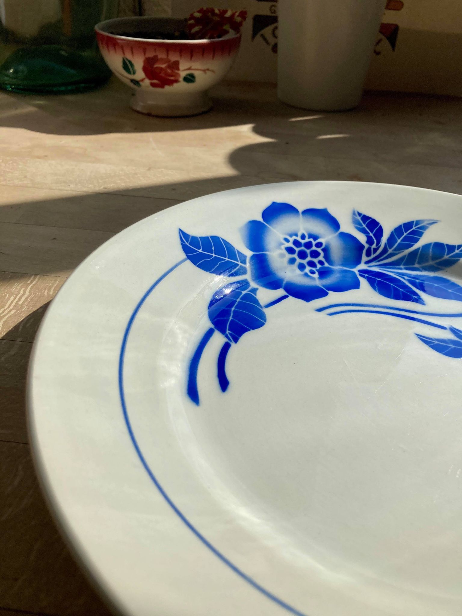 Lot of 5 plates Digoin Sarreguemines model Flora