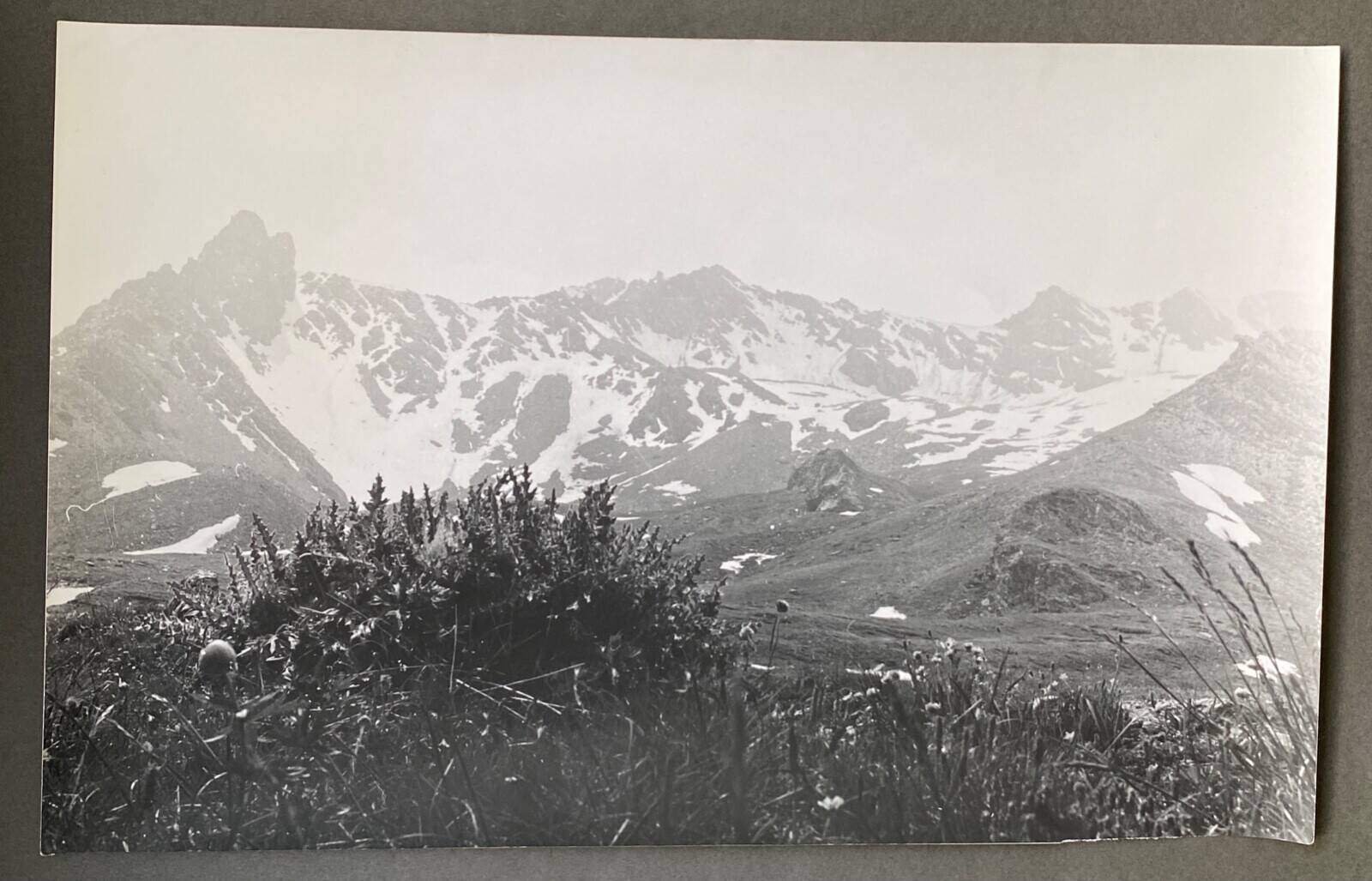 Silver gelatin photograph, mountain mist, vegetation, Bernard Darot, 20th century