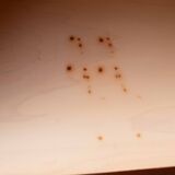 Buffet « B40 » de Dieter Waeckerlin