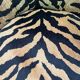 Pair of leopard velvet Schwartz armchairs
