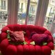 Bubble sofa Roche Bobois