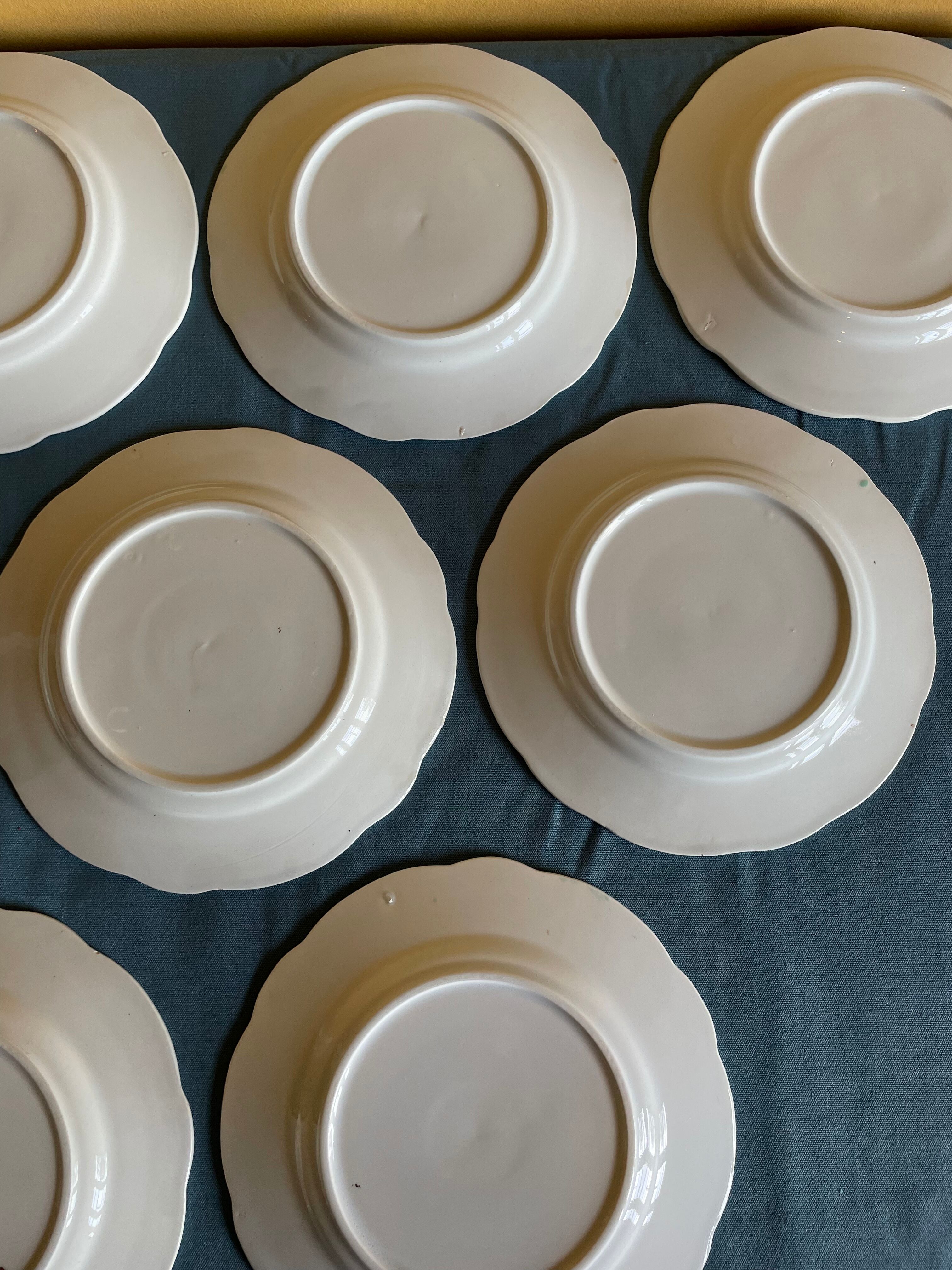 Set of green plates of water