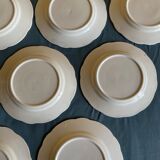 Set of green plates of water