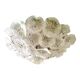Murano glass chandelier