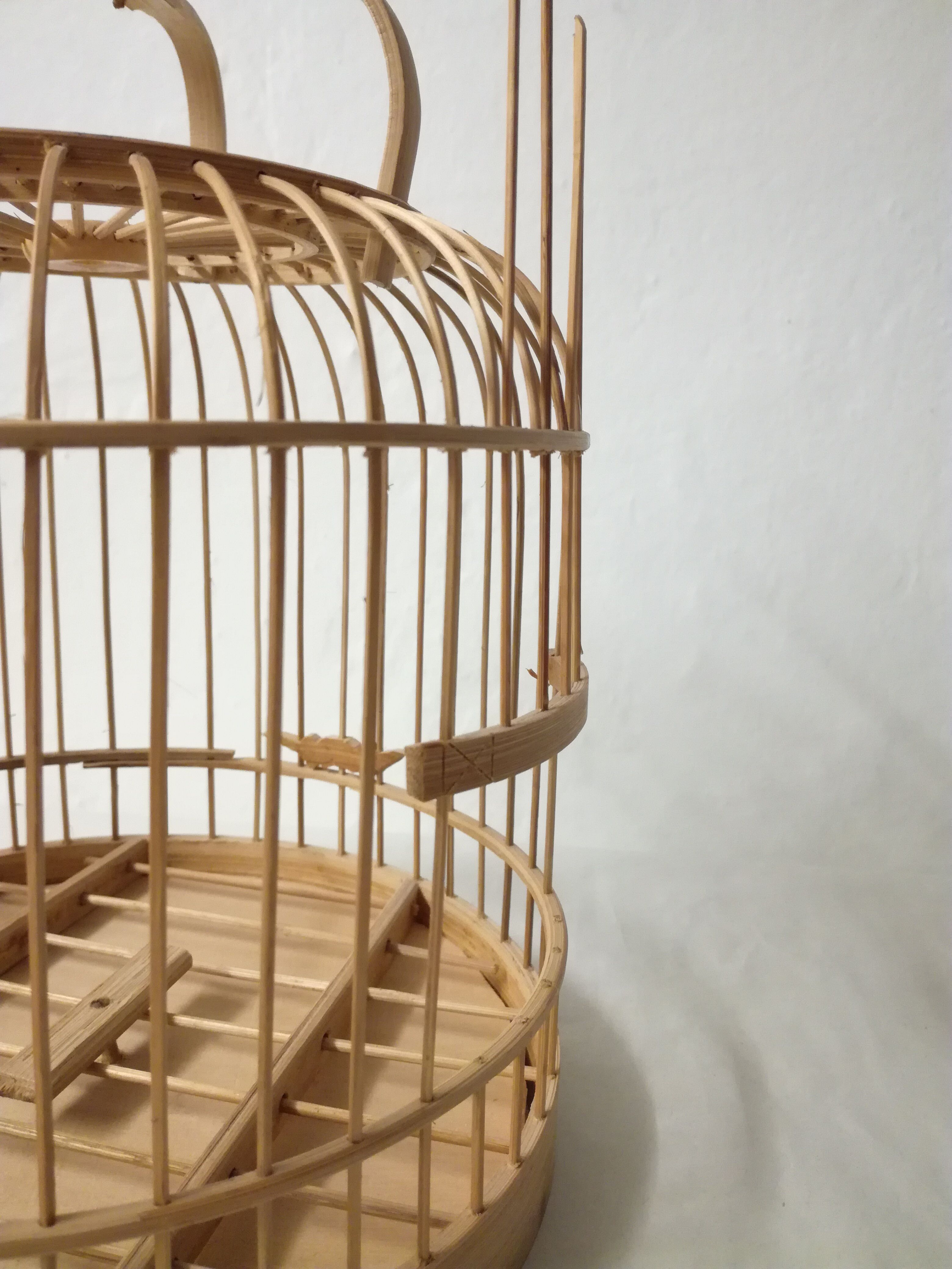Bird cage