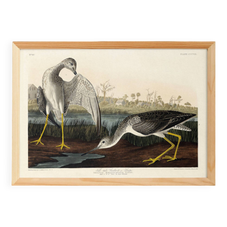 Poster about the Yellow-legged Knight, based on an old engraving