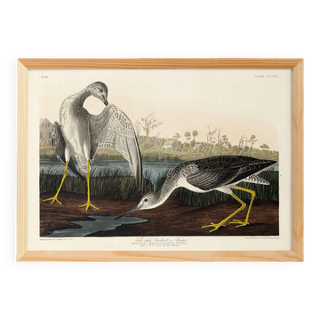 Poster about the Yellow-legged Knight, based on an old engraving