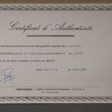 Lithograph camille hilaire bouquet of flowers 121 of 175 certificate